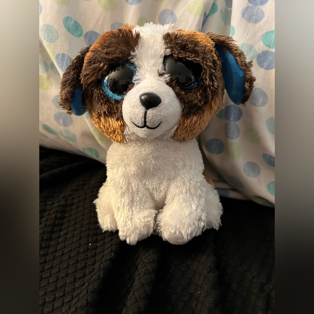 TY beanie boo Duke